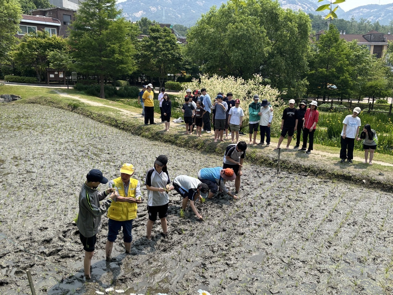 사용자가 올린 이미지