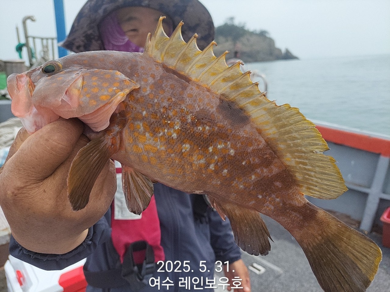 사용자가 올린 이미지