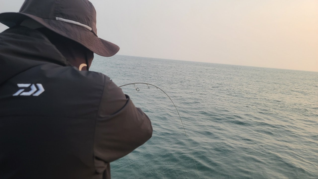 사용자가 올린 이미지