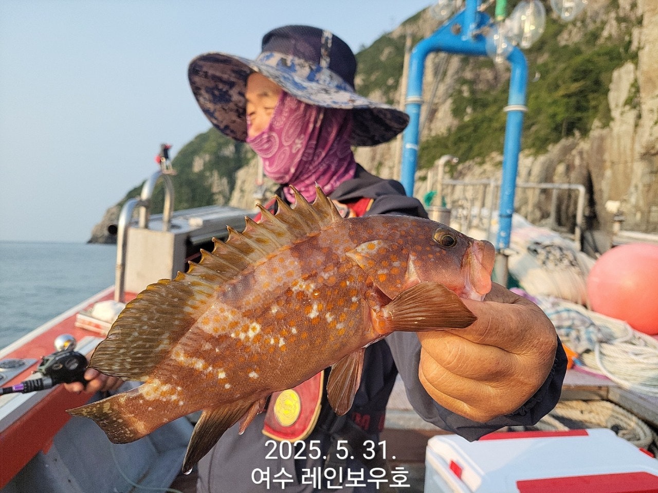사용자가 올린 이미지