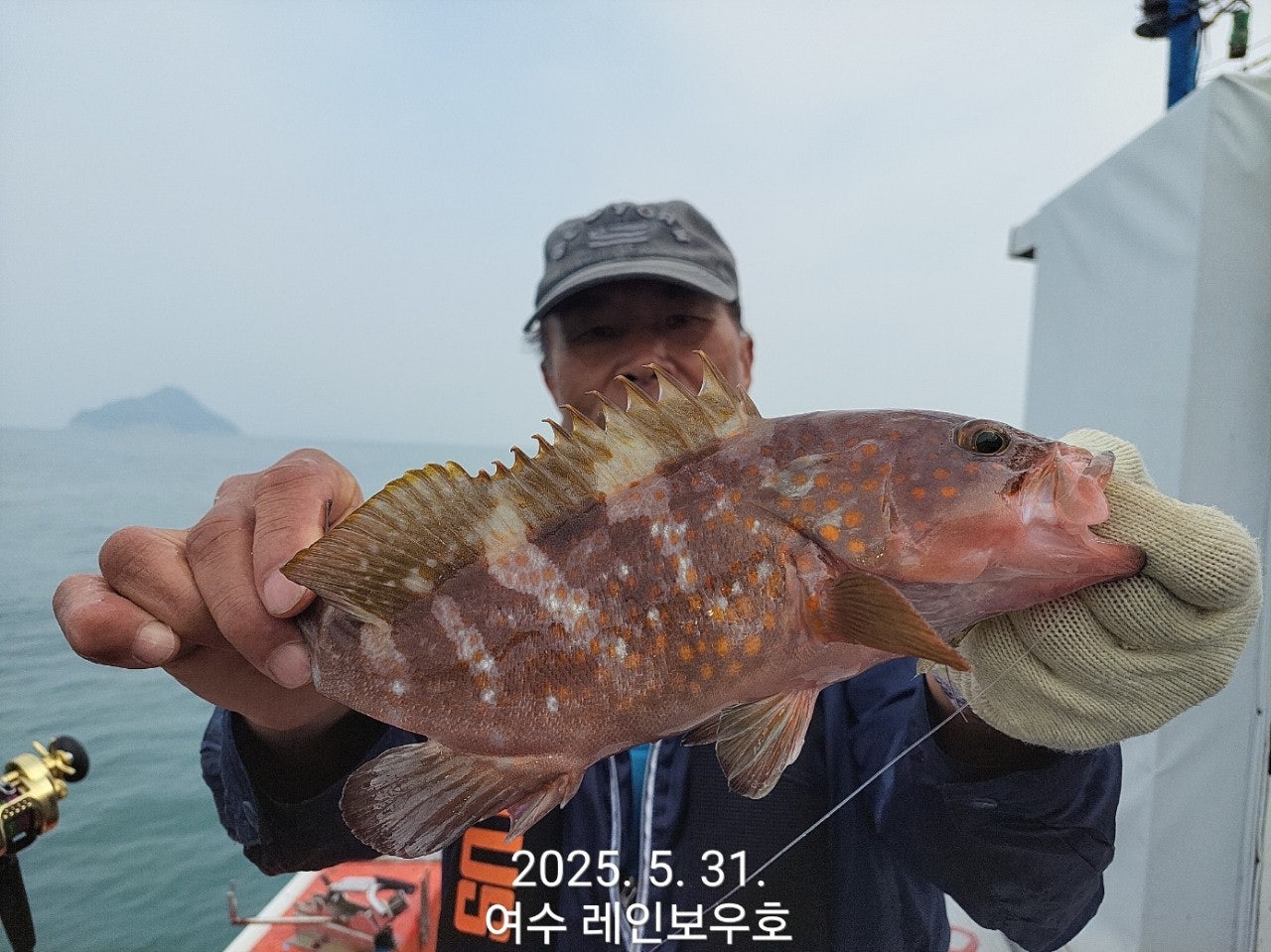 사용자가 올린 이미지