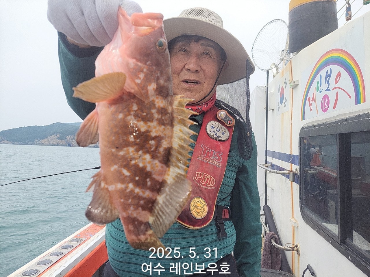 사용자가 올린 이미지