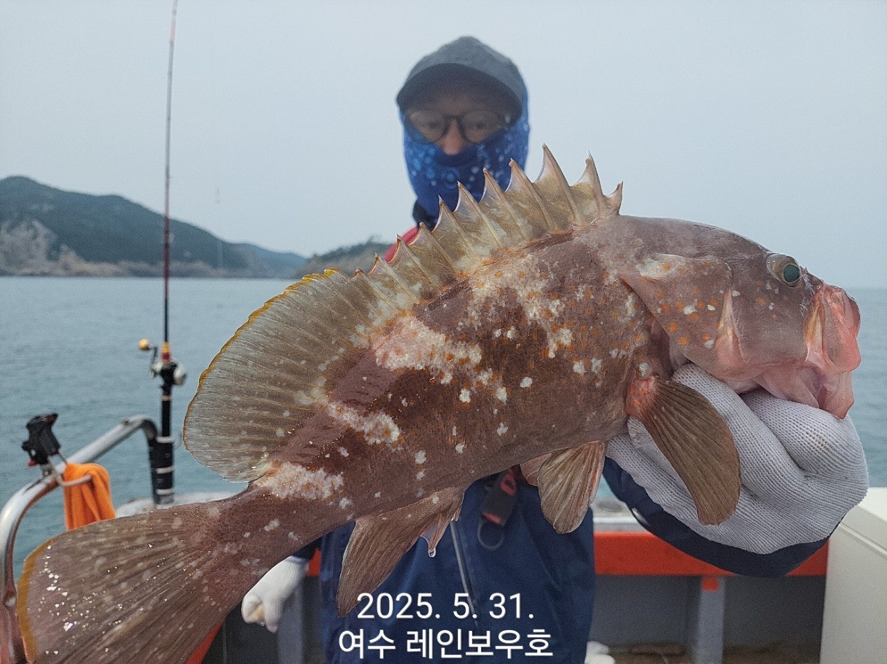 사용자가 올린 이미지