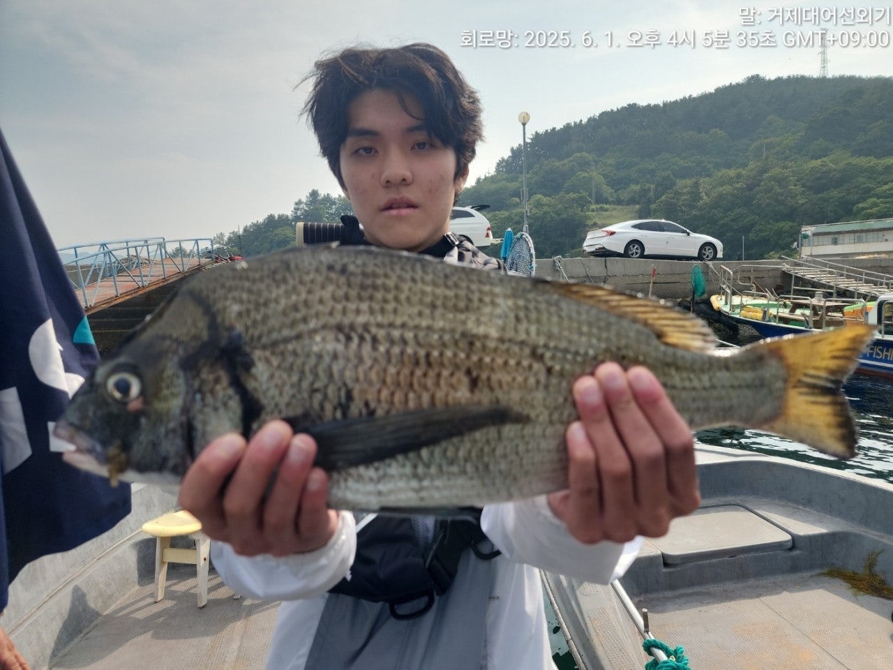 사용자가 올린 이미지