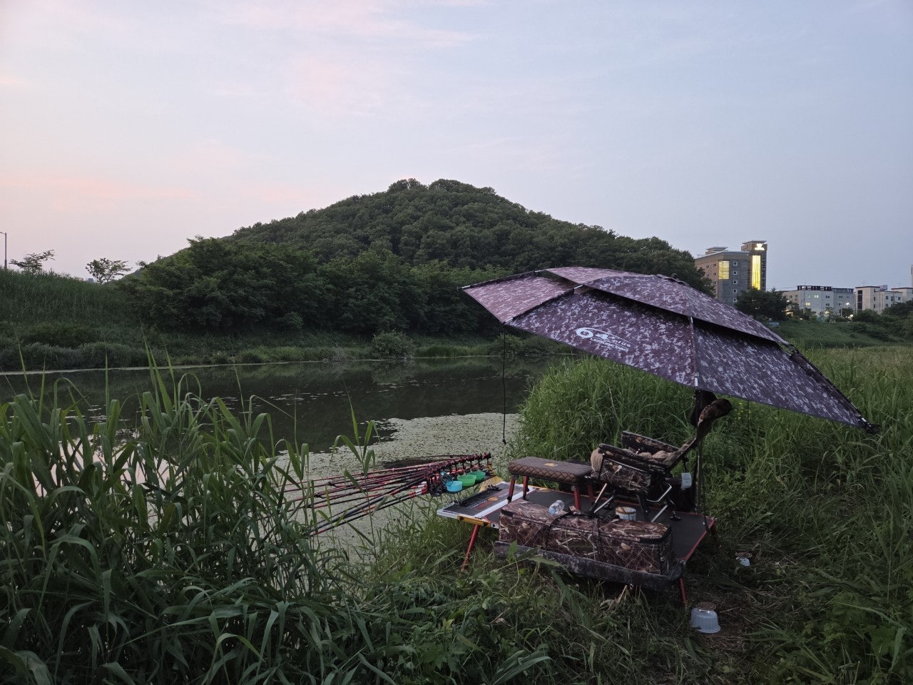 사용자가 올린 이미지