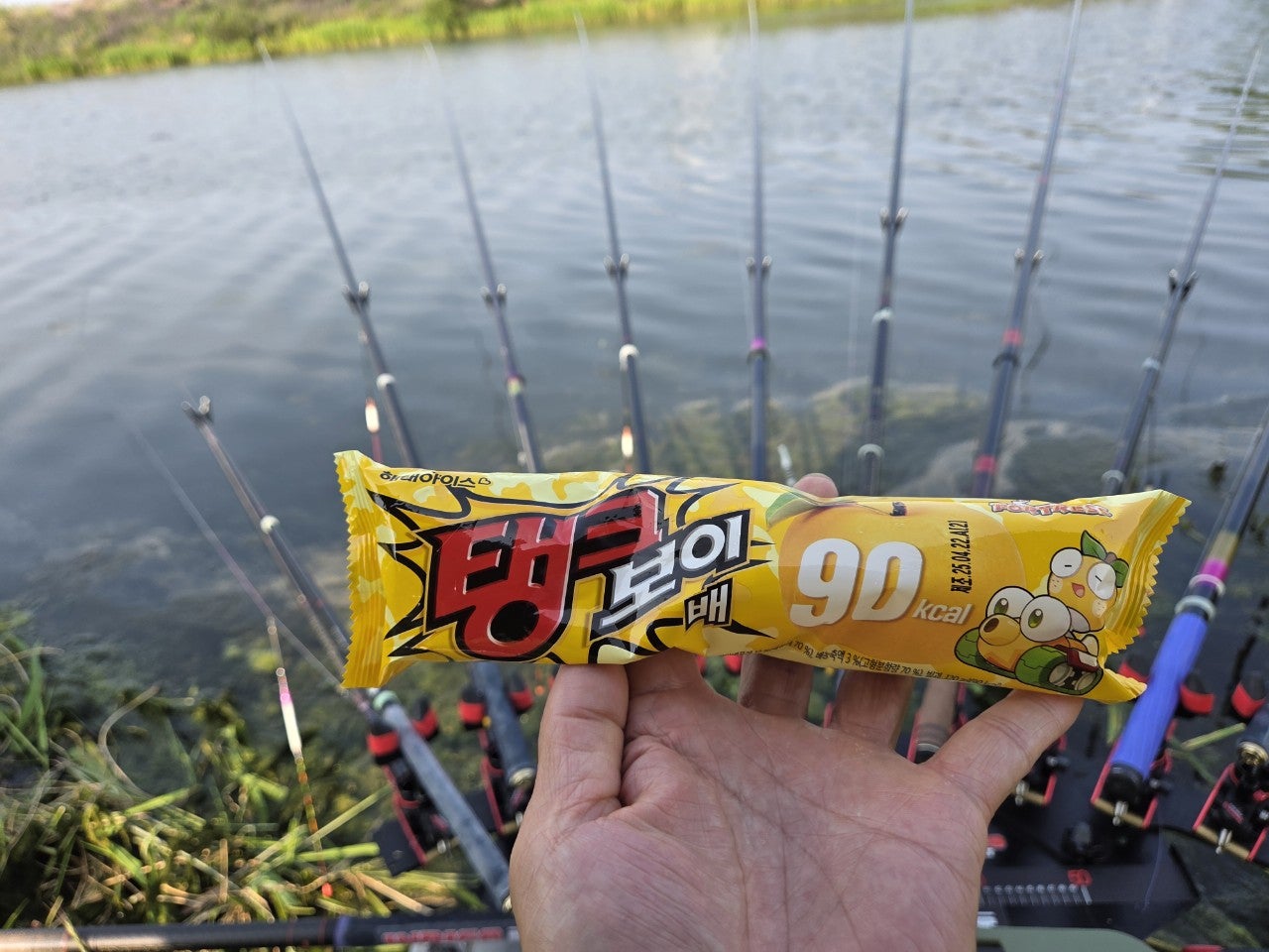 사용자가 올린 이미지