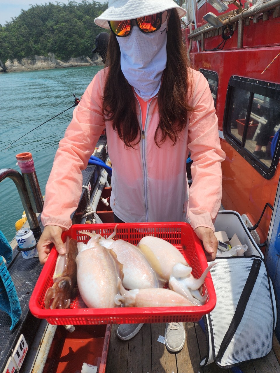 사용자가 올린 이미지