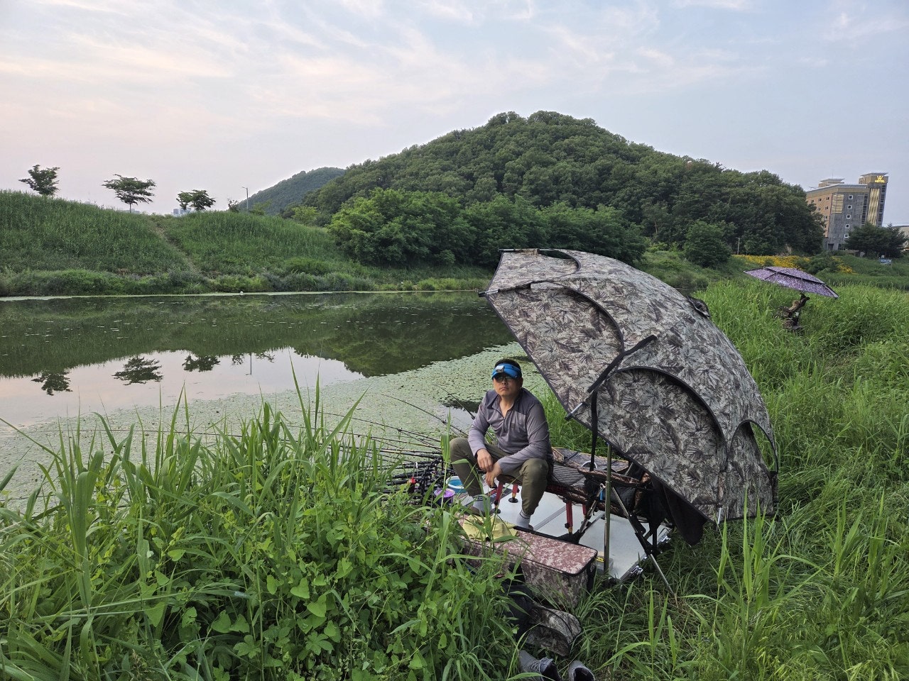 사용자가 올린 이미지