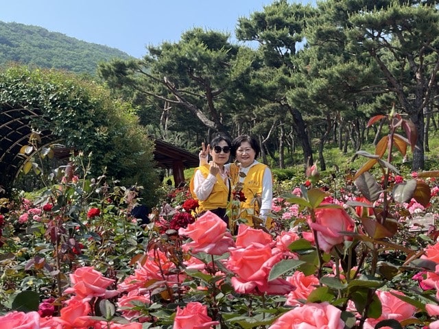 사용자가 올린 이미지