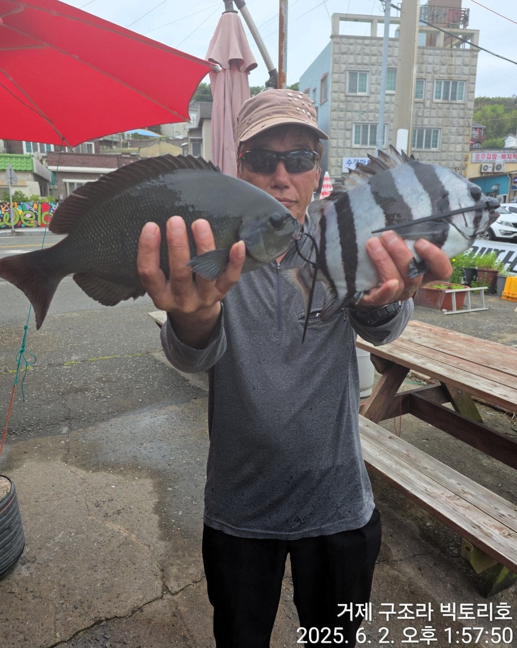 사용자가 올린 이미지