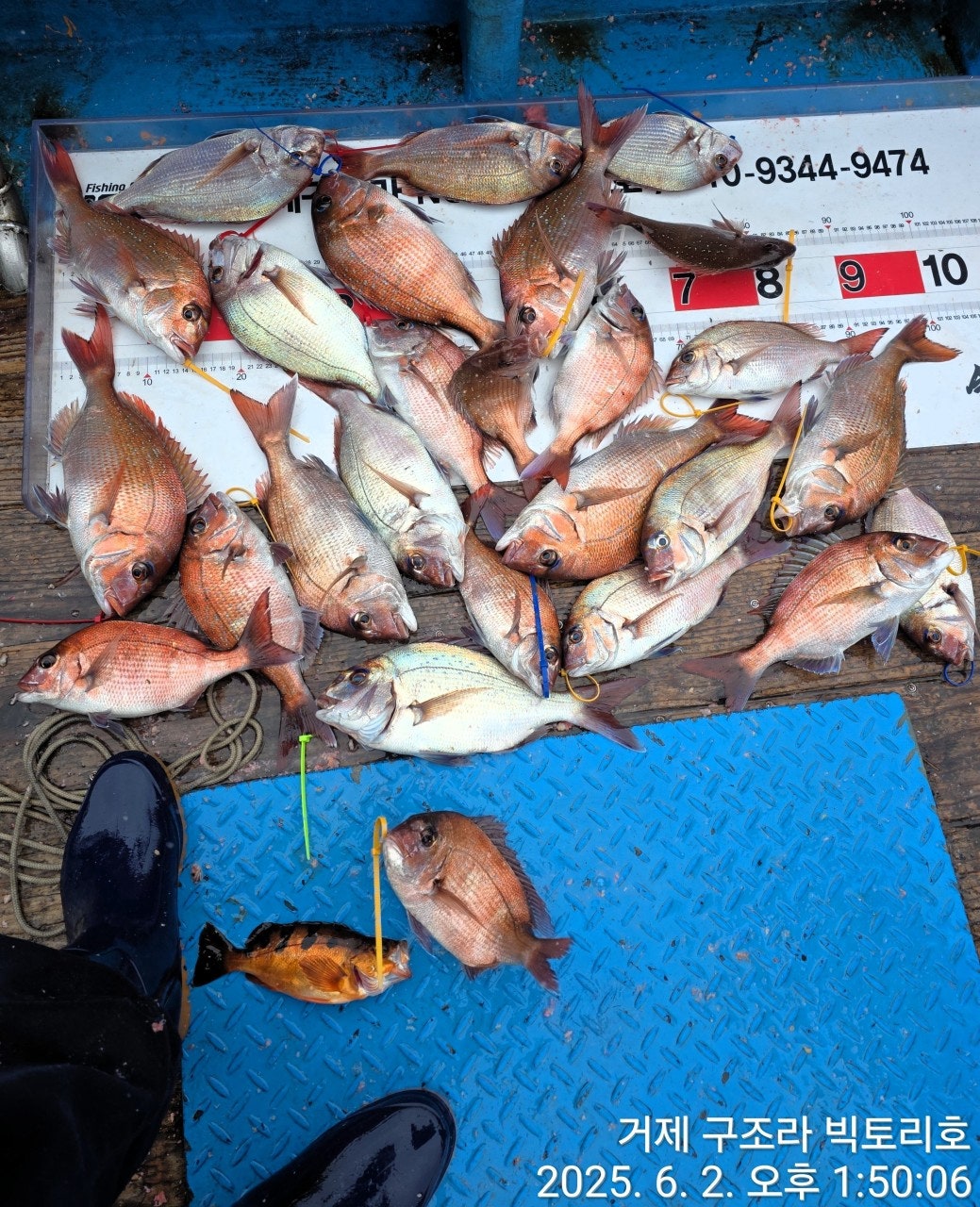 사용자가 올린 이미지