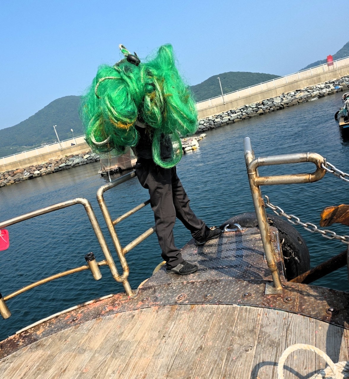 사용자가 올린 이미지