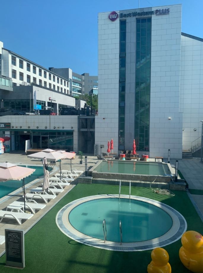 사용자가 올린 이미지