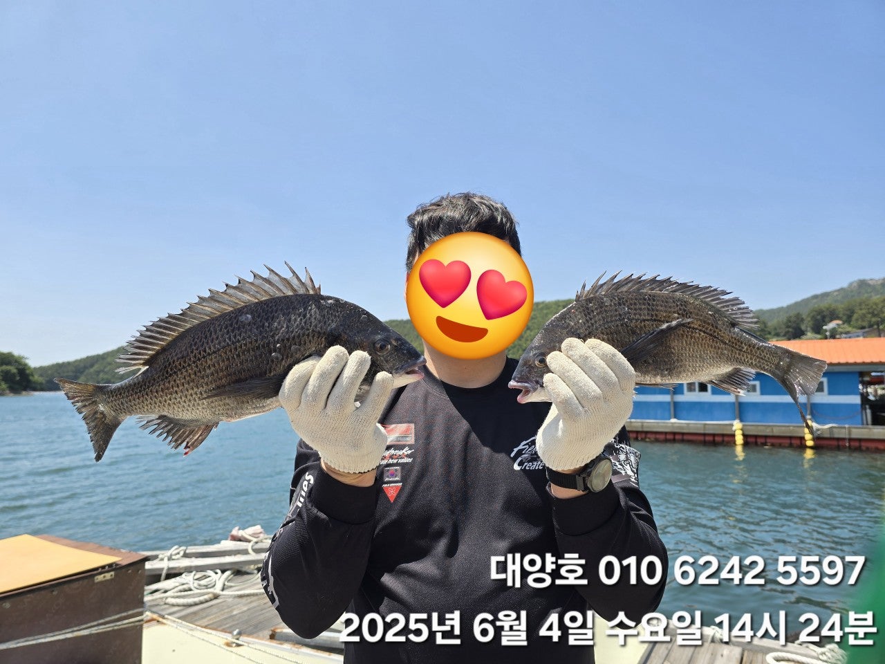 사용자가 올린 이미지