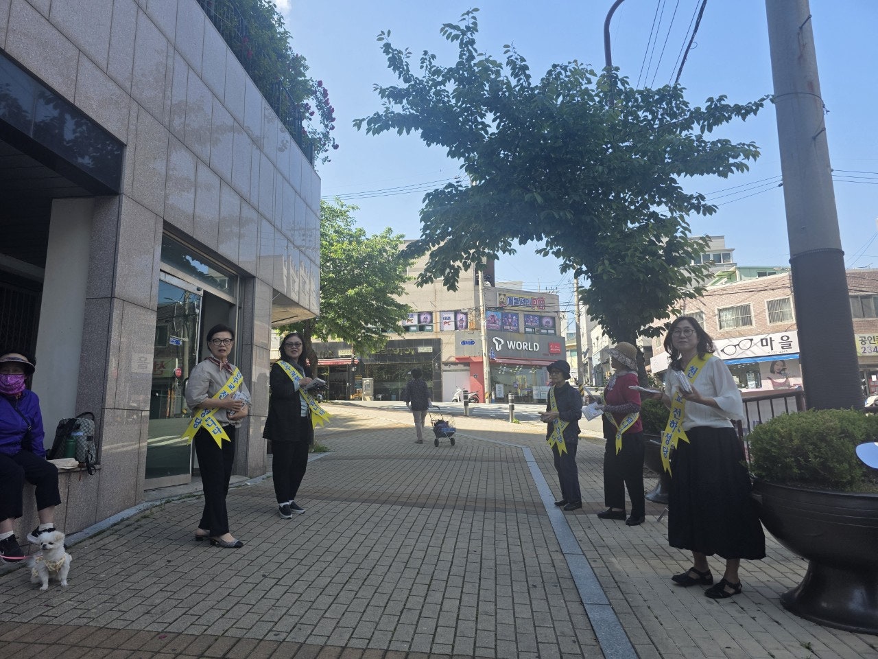 사용자가 올린 이미지