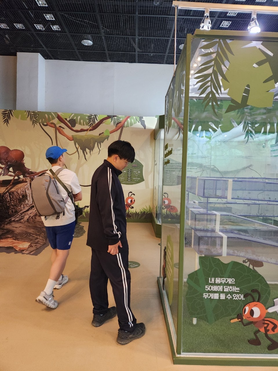 사용자가 올린 이미지