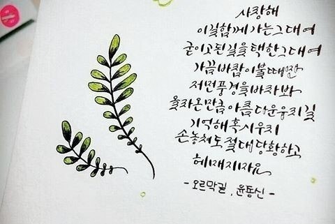 사용자가 올린 이미지