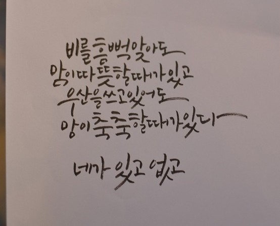 사용자가 올린 이미지