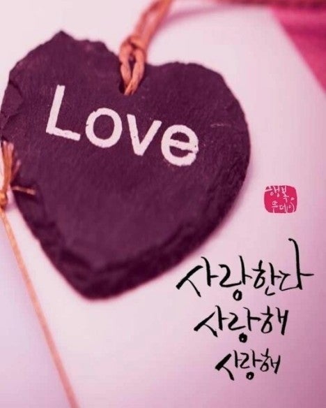 사용자가 올린 이미지