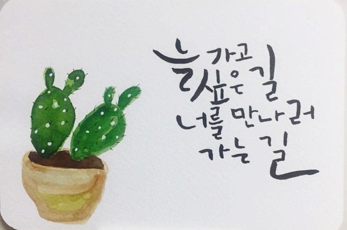 사용자가 올린 이미지