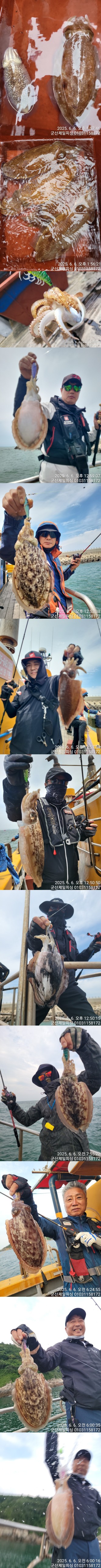 band images