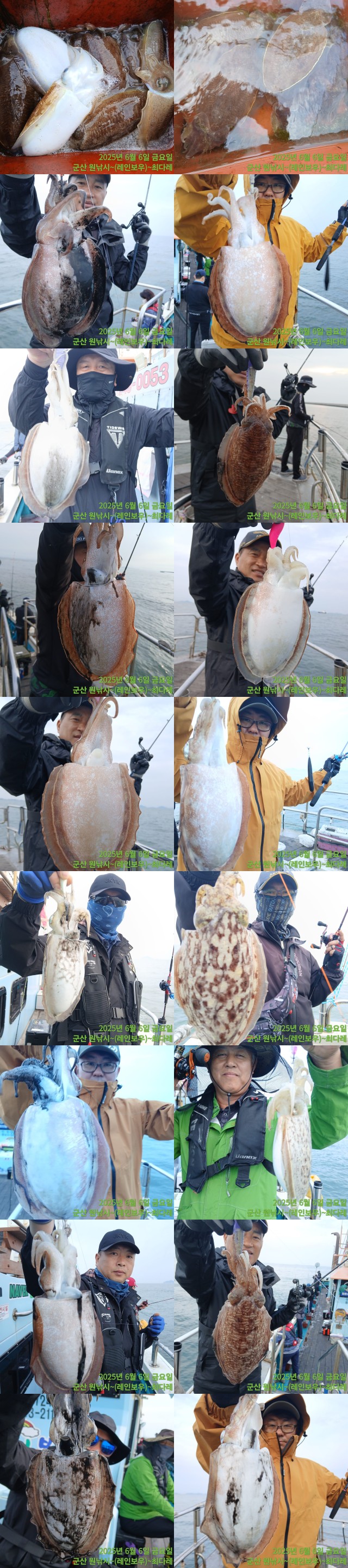 band images