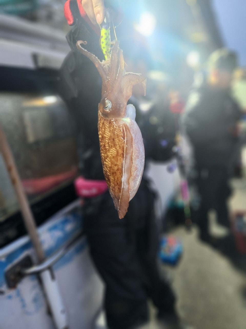 사용자가 올린 이미지