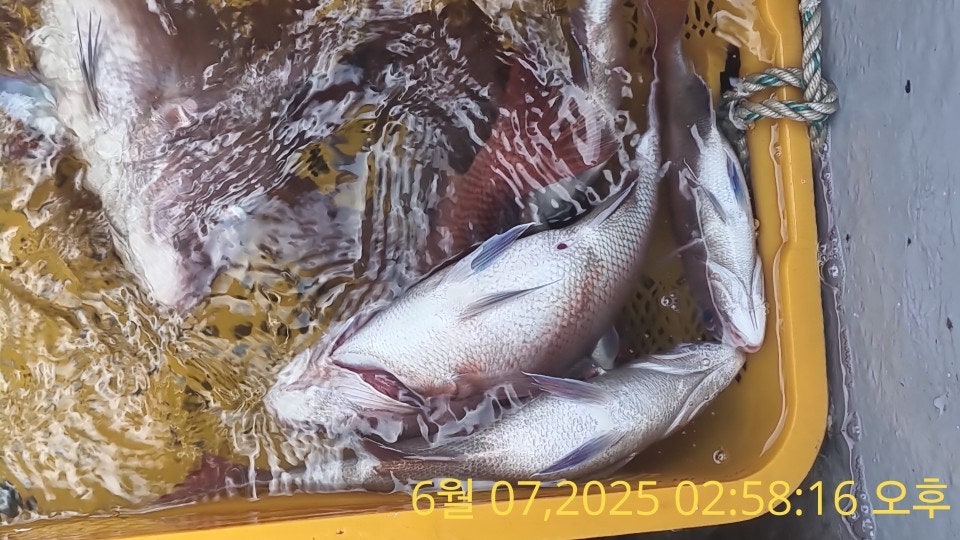 ڰ ø ̹