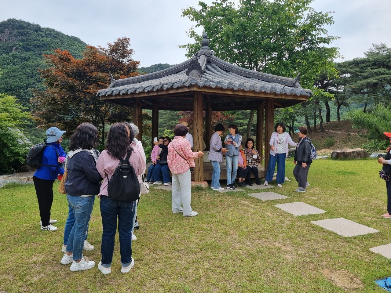 사용자가 올린 이미지