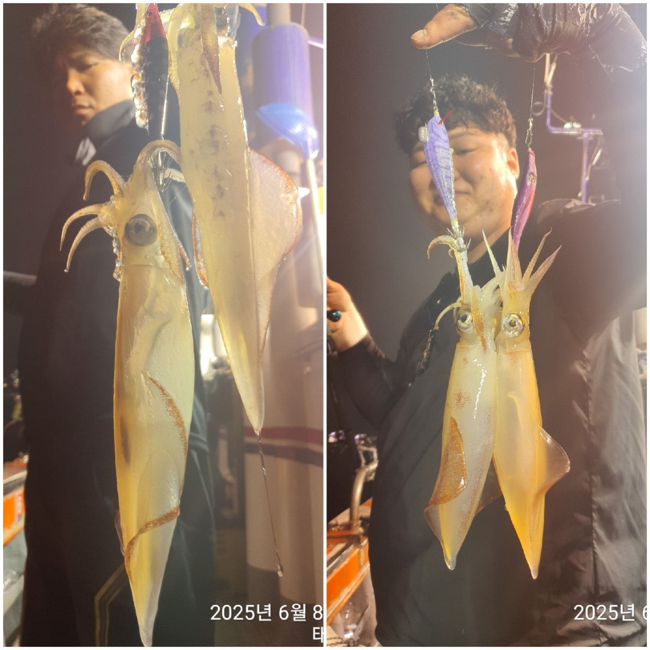 사용자가 올린 이미지