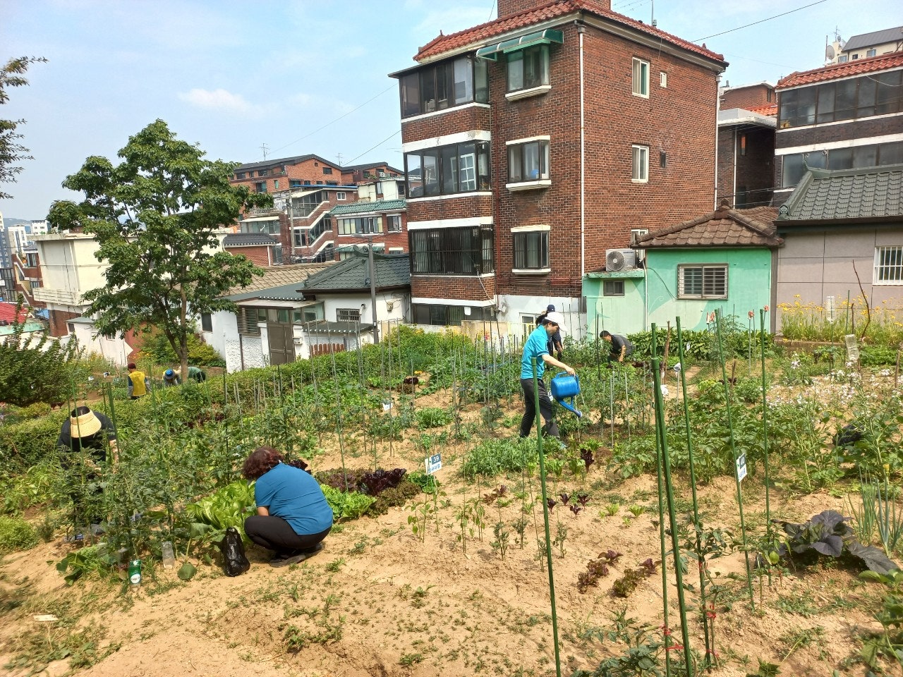 사용자가 올린 이미지