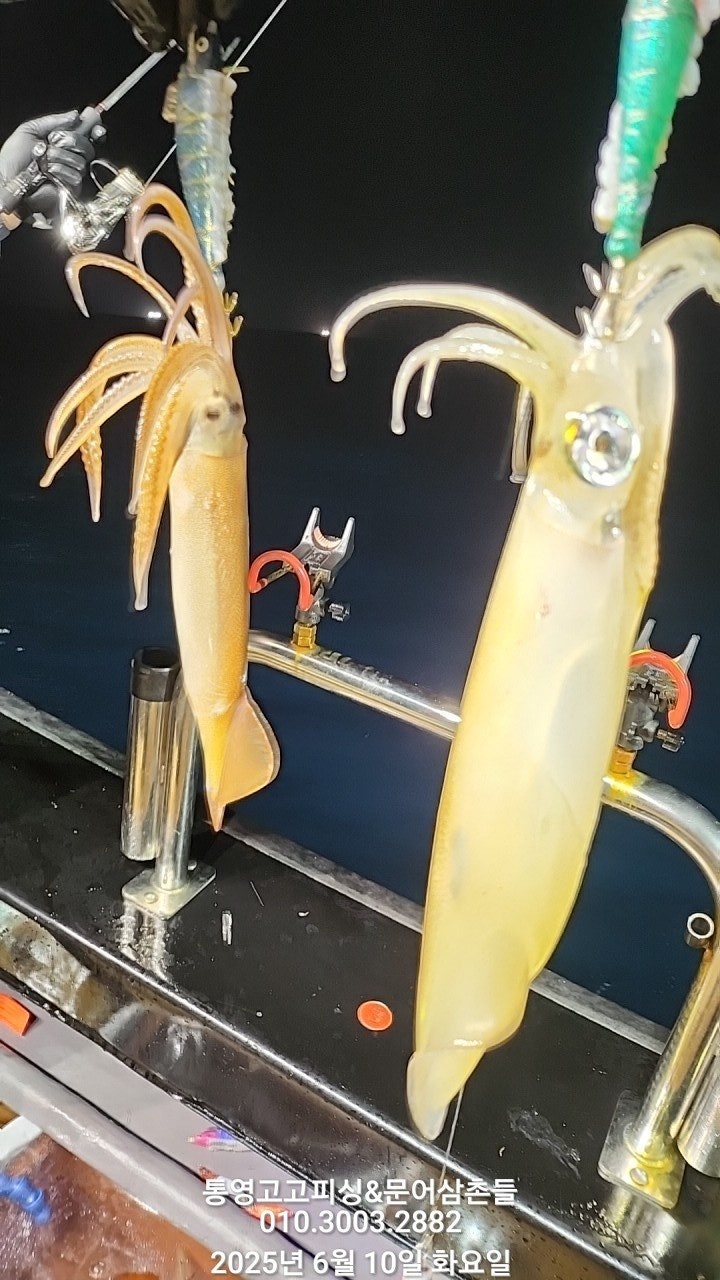 ڰ ø ̹