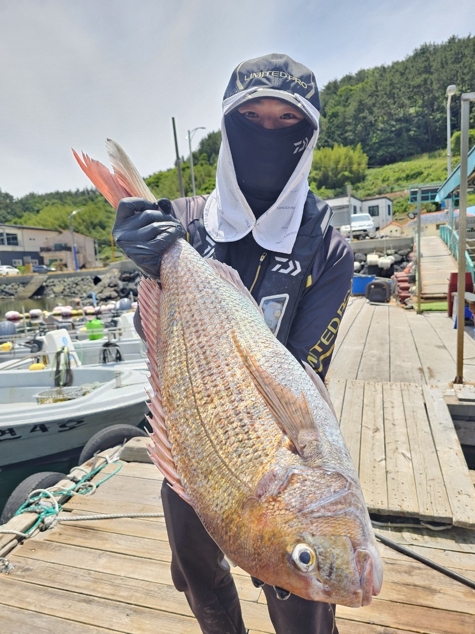 사용자가 올린 이미지