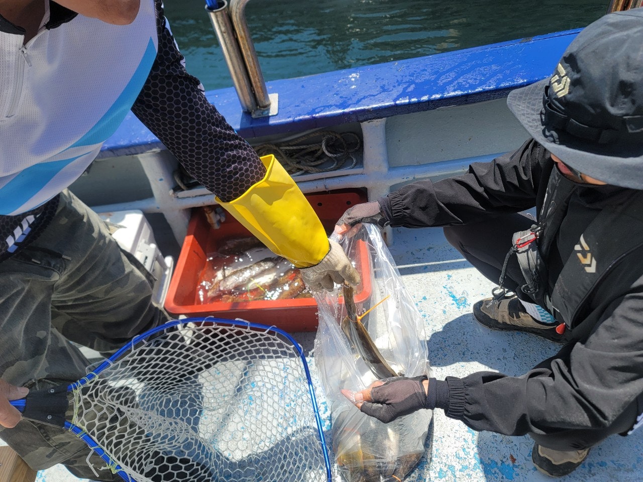 사용자가 올린 이미지