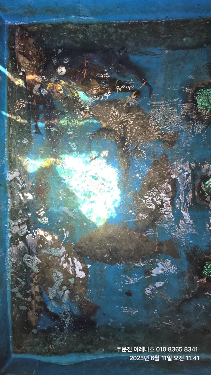 사용자가 올린 이미지