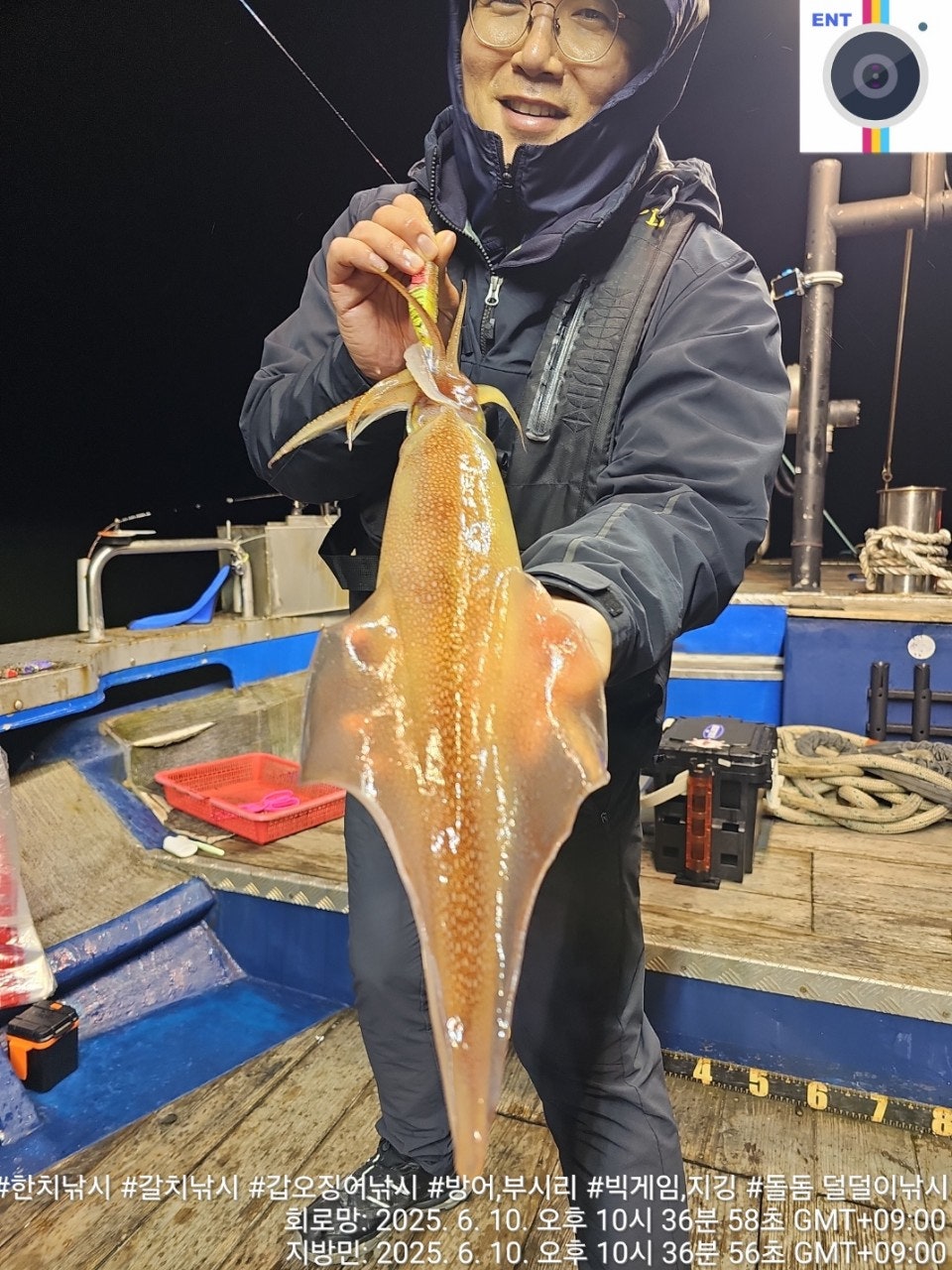 6월 10일 완도 거정호 한치낚시 다녀왔습니다.