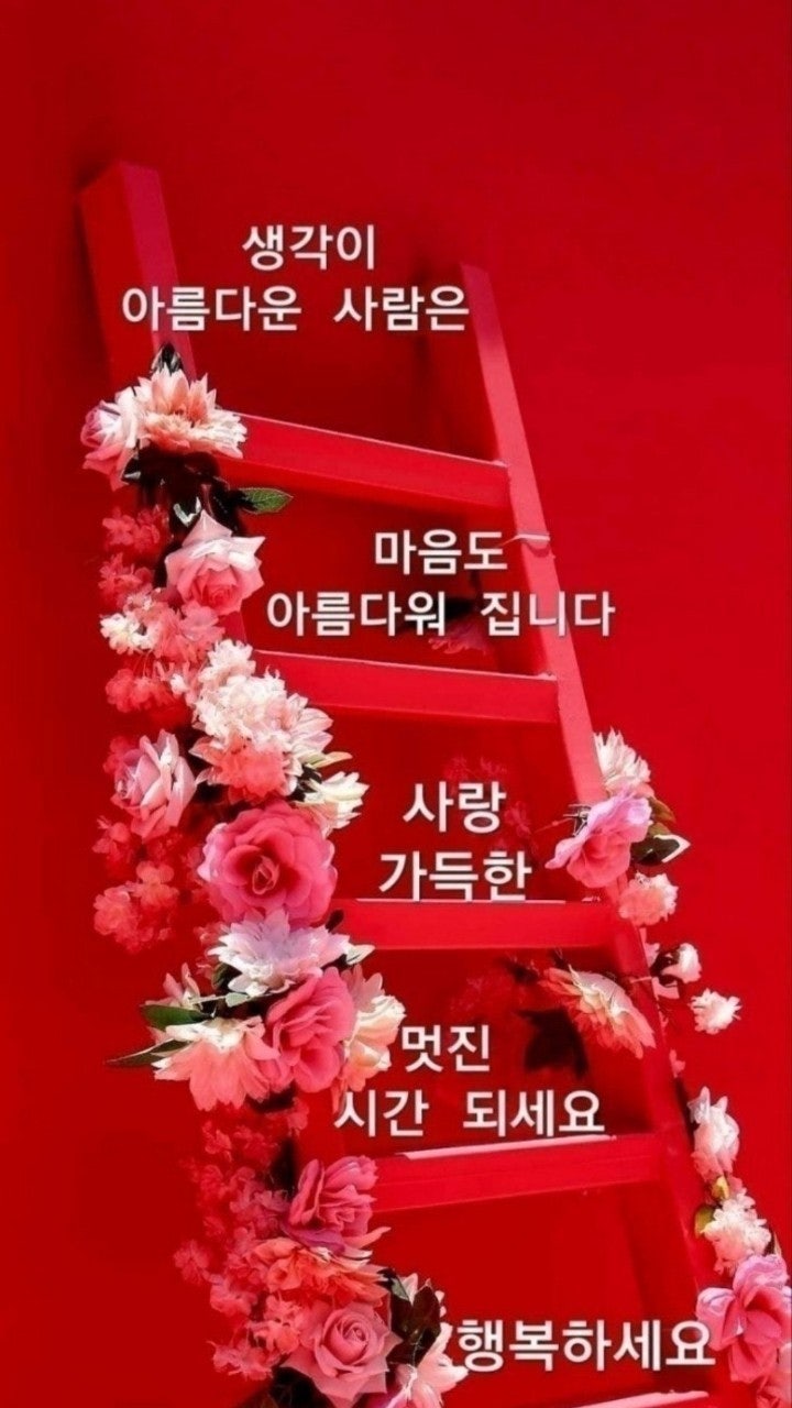 사용자가 올린 이미지