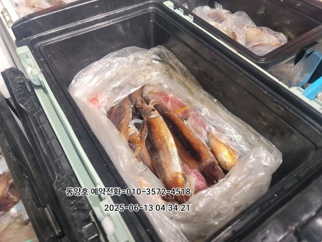 ڰ ø ̹