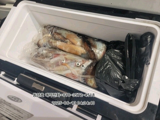 ڰ ø ̹