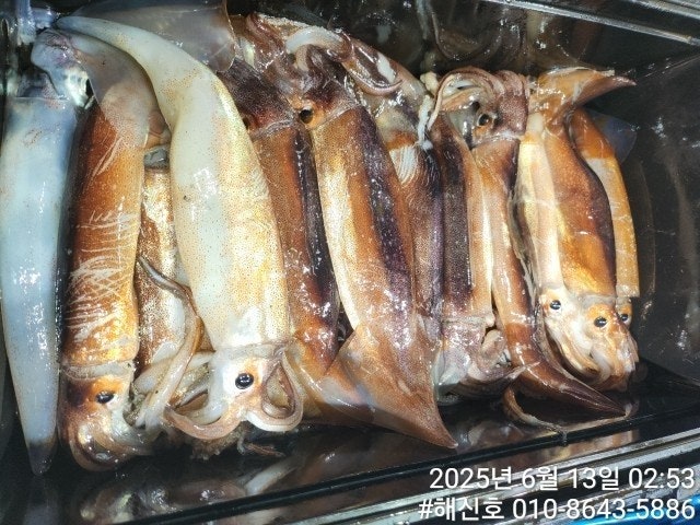 ڰ ø ̹