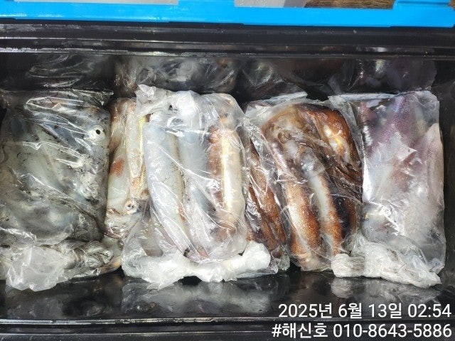 ڰ ø ̹