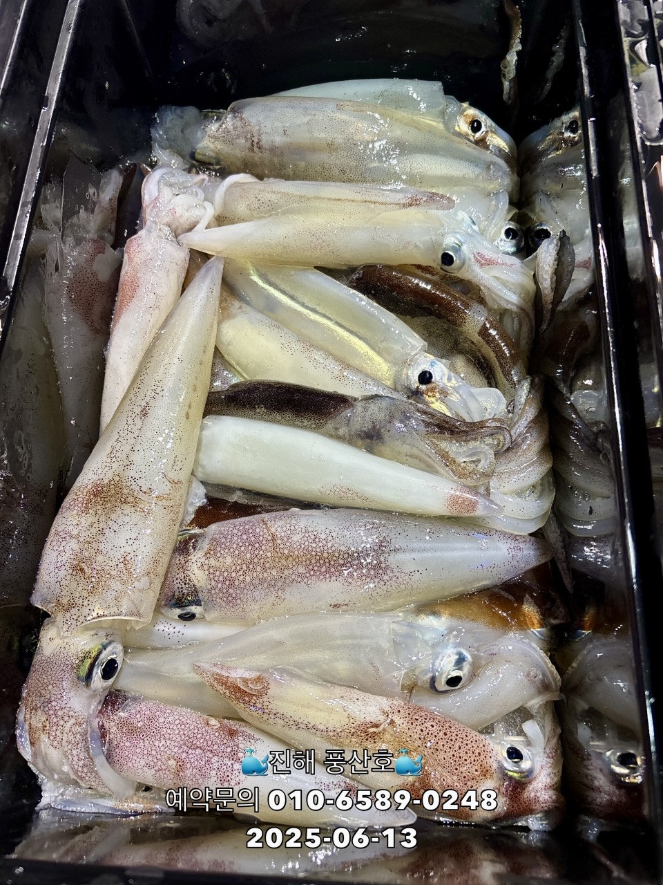 ڰ ø ̹