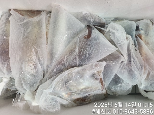 ڰ ø ̹