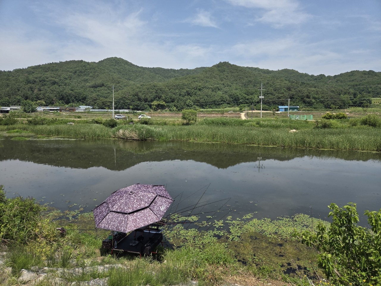 사용자가 올린 이미지
