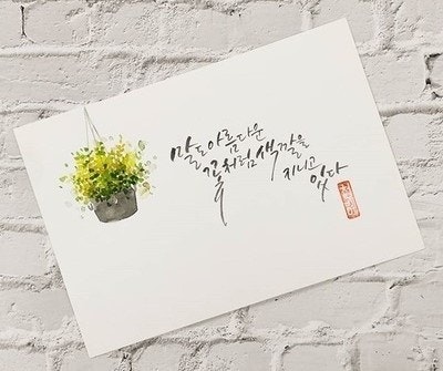 사용자가 올린 이미지