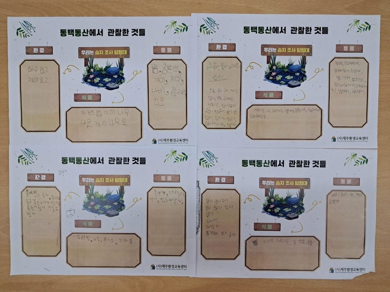 사용자가 올린 이미지