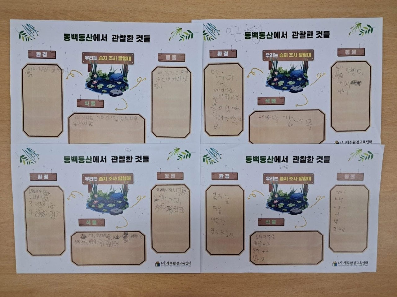 사용자가 올린 이미지