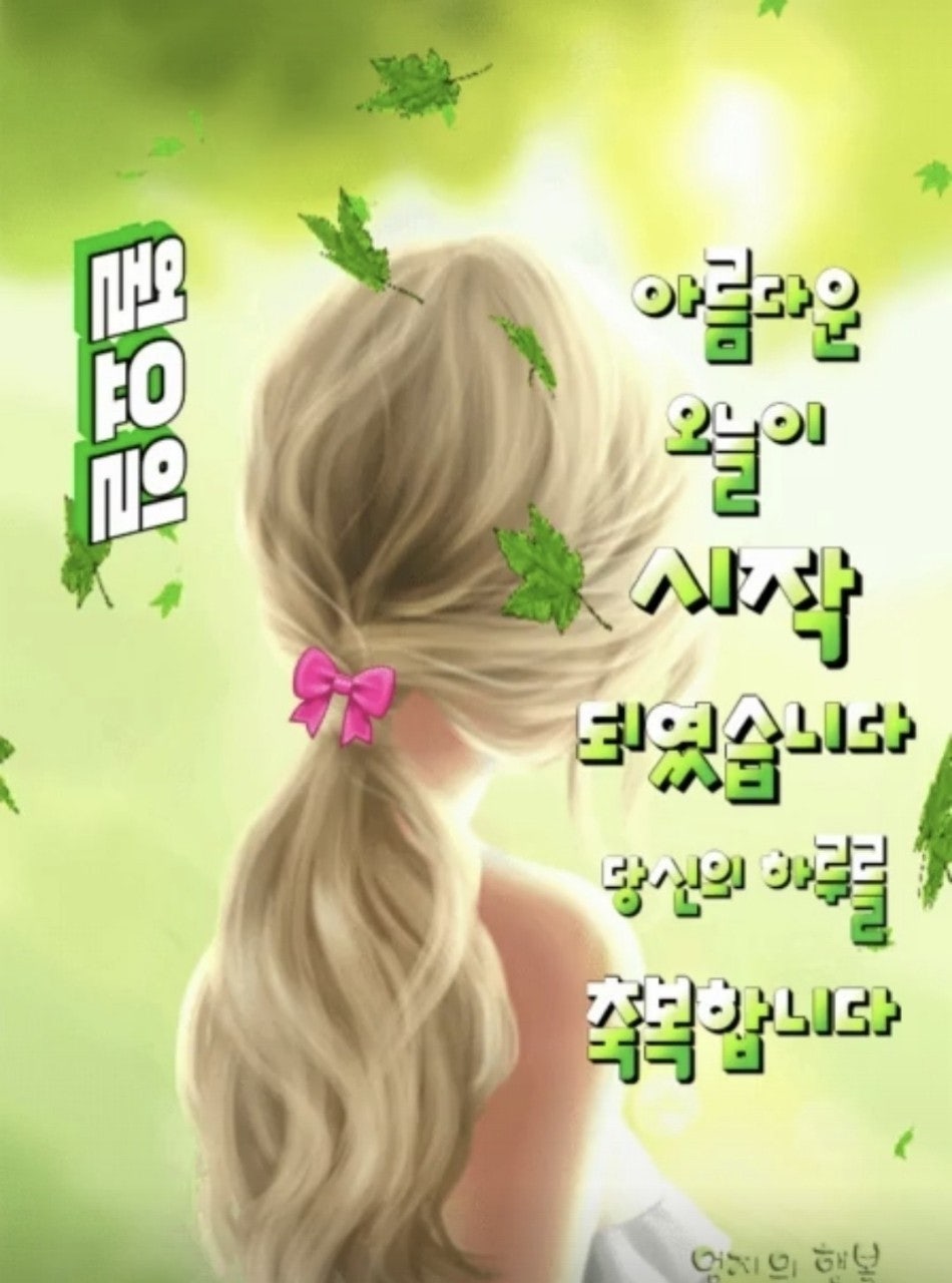 사용자가 올린 이미지