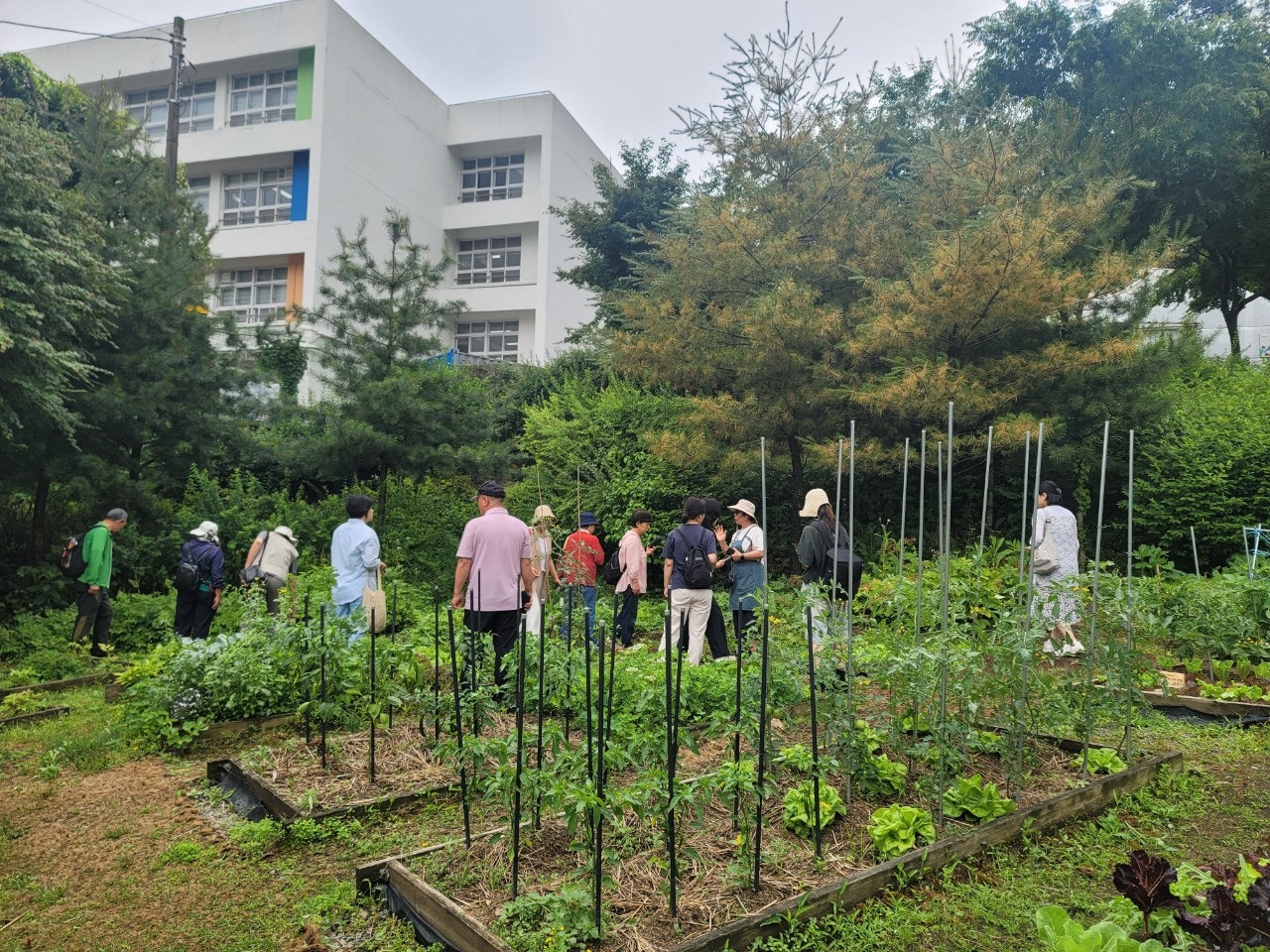 사용자가 올린 이미지