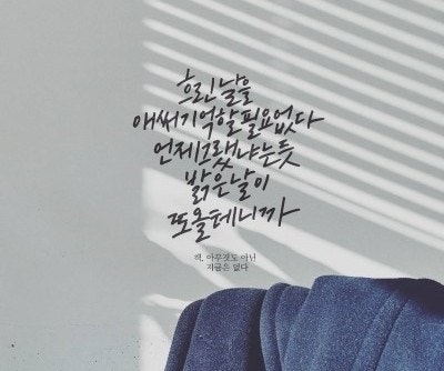 사용자가 올린 이미지
